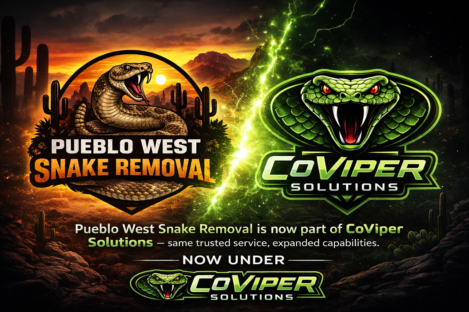Colorado Racing Viper Colorado Viper Solutions | Rattlesnake Aversion Training